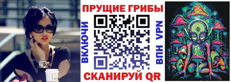Псилоцибиновые грибы Psilocybine cubensis  Невинномысск 
