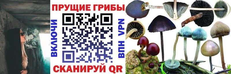 Псилоцибиновые грибы ЛСД Невинномысск